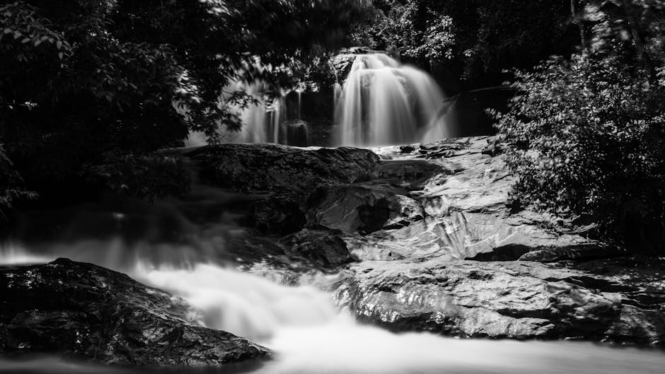 Cellules du système immunitaire face aux maladies