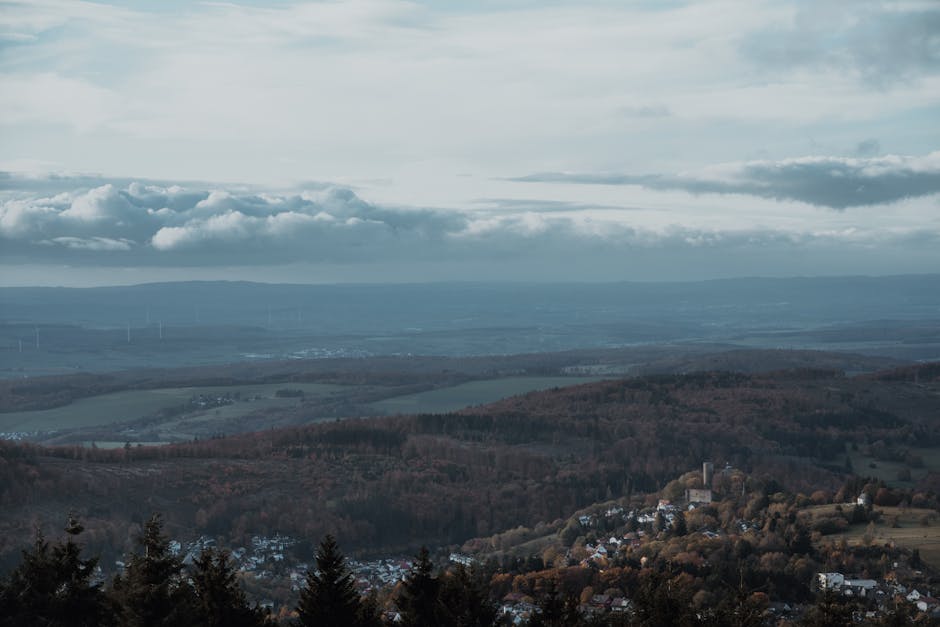 Une personne âgée souriante profitant de la nature, symbolisant la santé auditive et bien-être